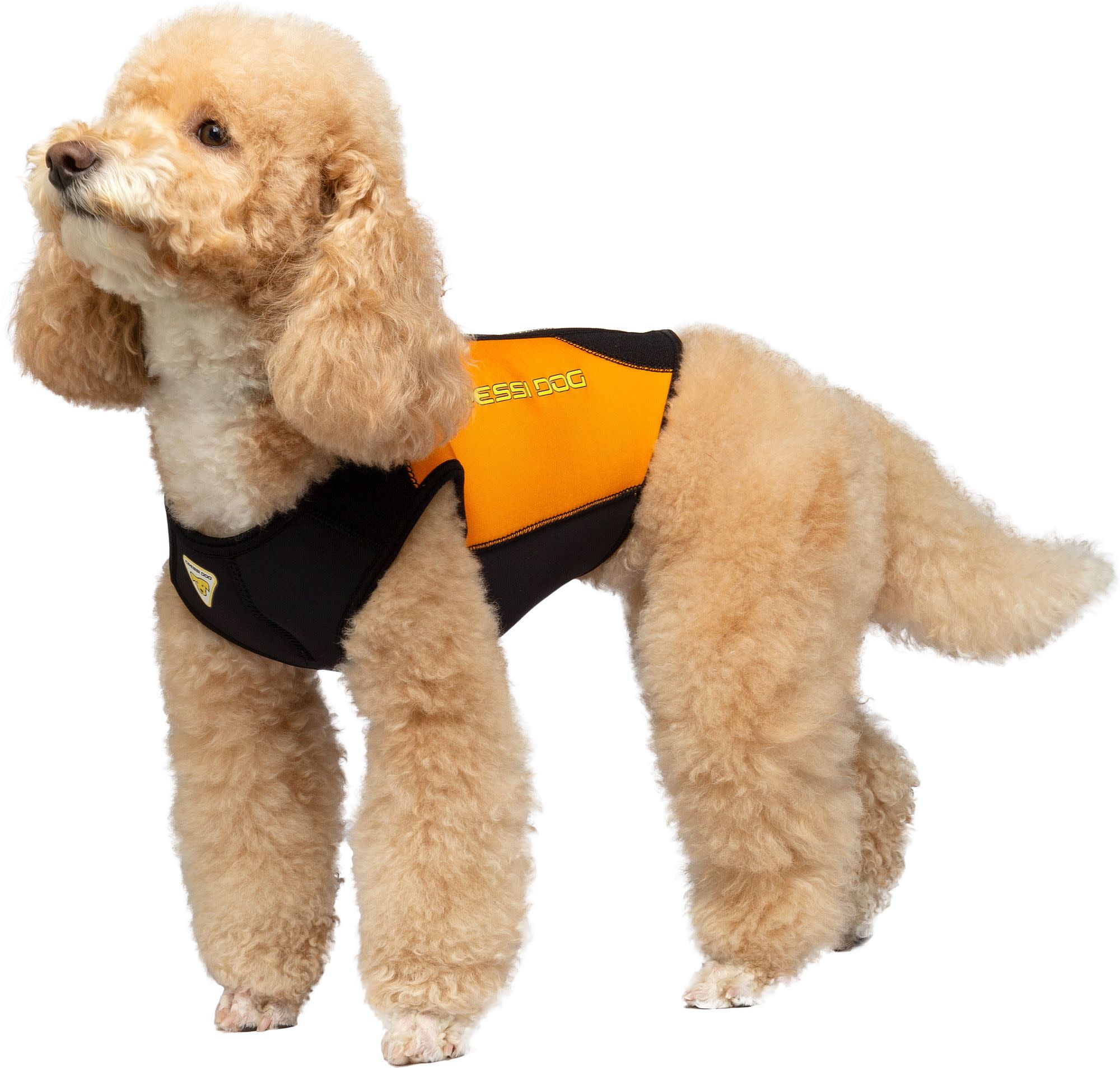 Cressi DOG WETSUIT 3 mm SIZE ML