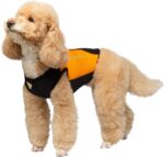 Cressi DOG WETSUIT 3 mm SIZE 2XS