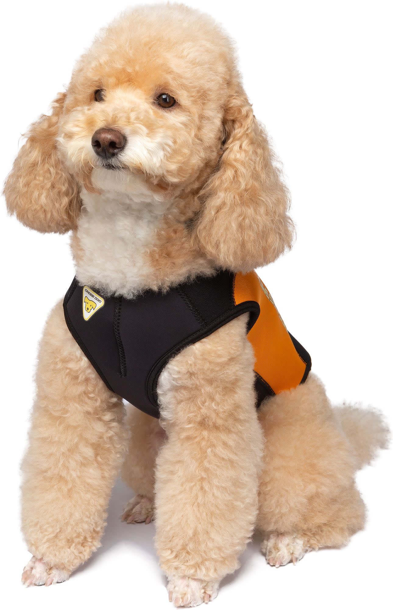 Cressi DOG WETSUIT 3 mm SIZE ML - Image 4