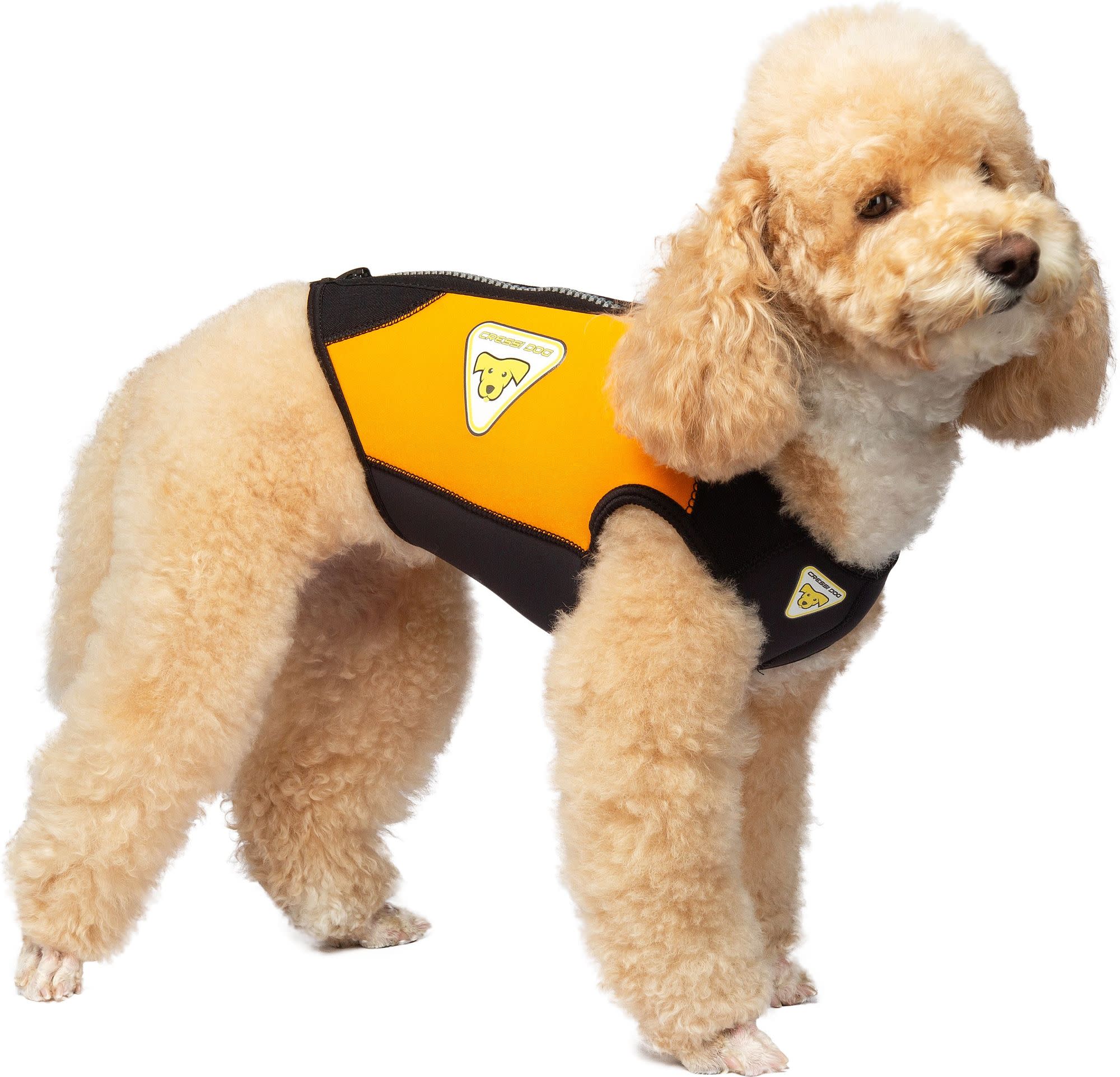 Cressi DOG WETSUIT 3 mm SIZE ML - Image 9