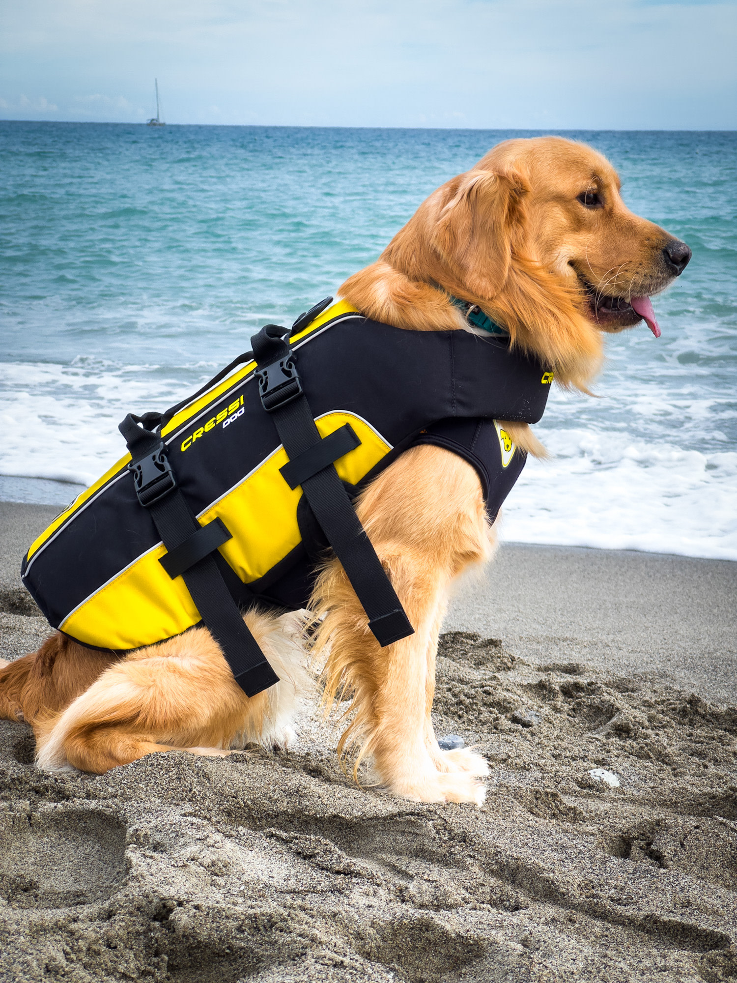 Cressi DOG LIFE JACKET SIZE XL - Image 17