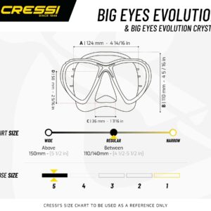 Cressi BIG EYES EVOLUTION MASK SIL CRYSTAL/FRAME PINK