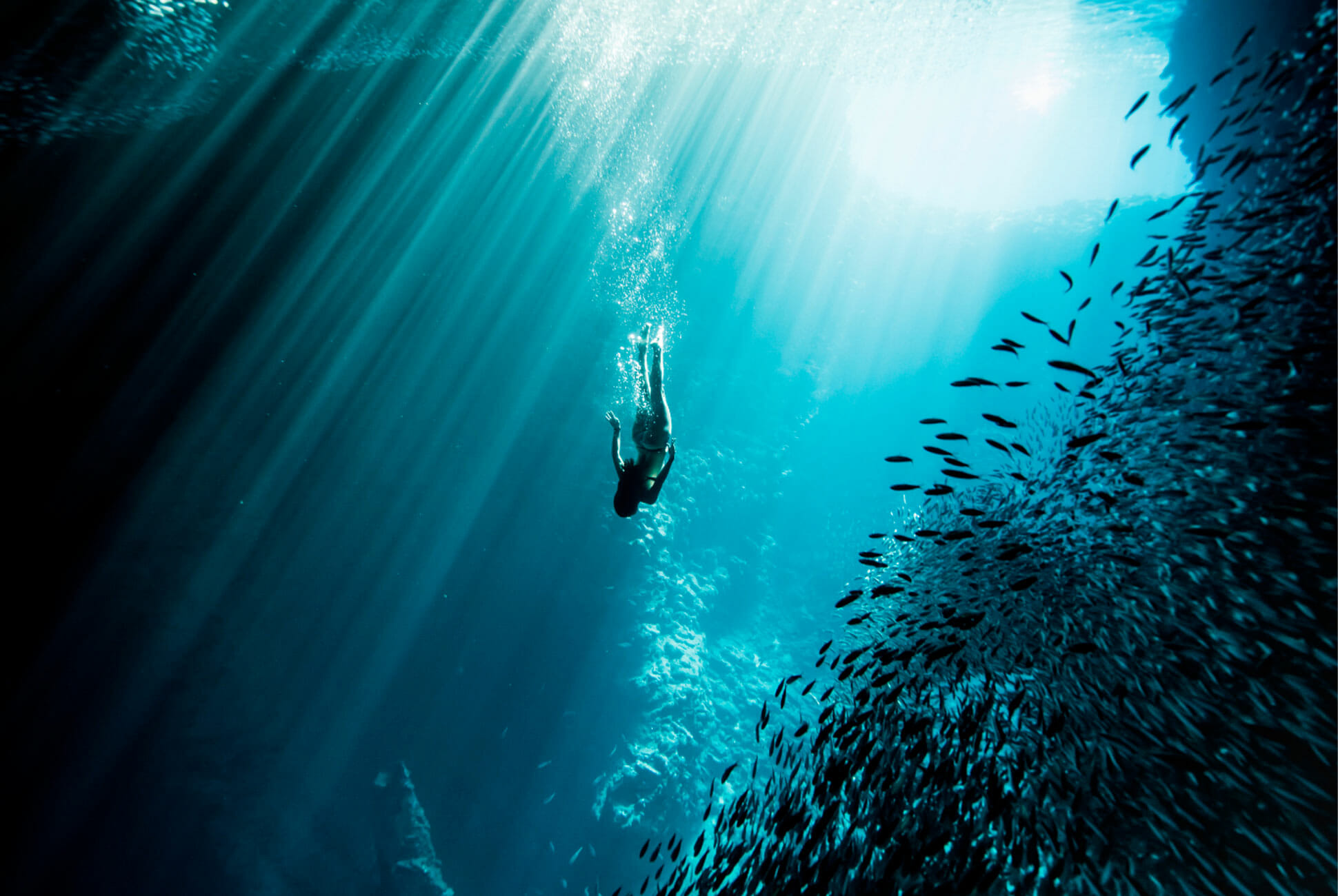 PADI Basic Freediver brīvais nirējs apmācības kursi – pilt 6