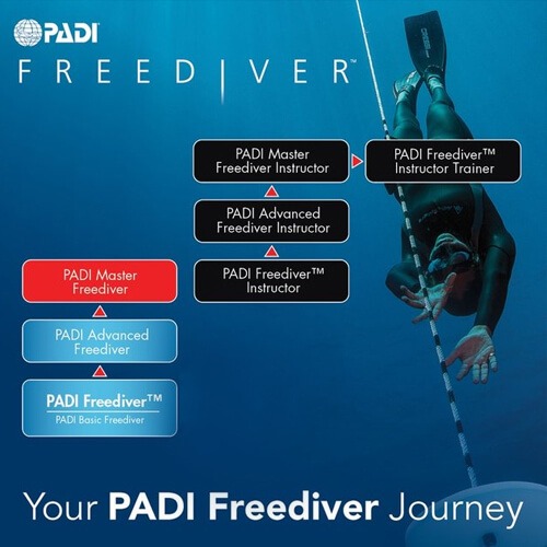 PADI Basic Freediver brīvais nirējs apmācības kursi – pilt 7