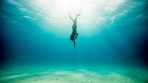 PADI Basic Freediver brīvais nirējs apmācības kursi – pilt 4