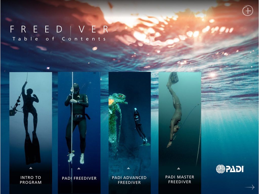 PADI Basic Freediver brīvais nirējs apmācības kursi – pilt 2