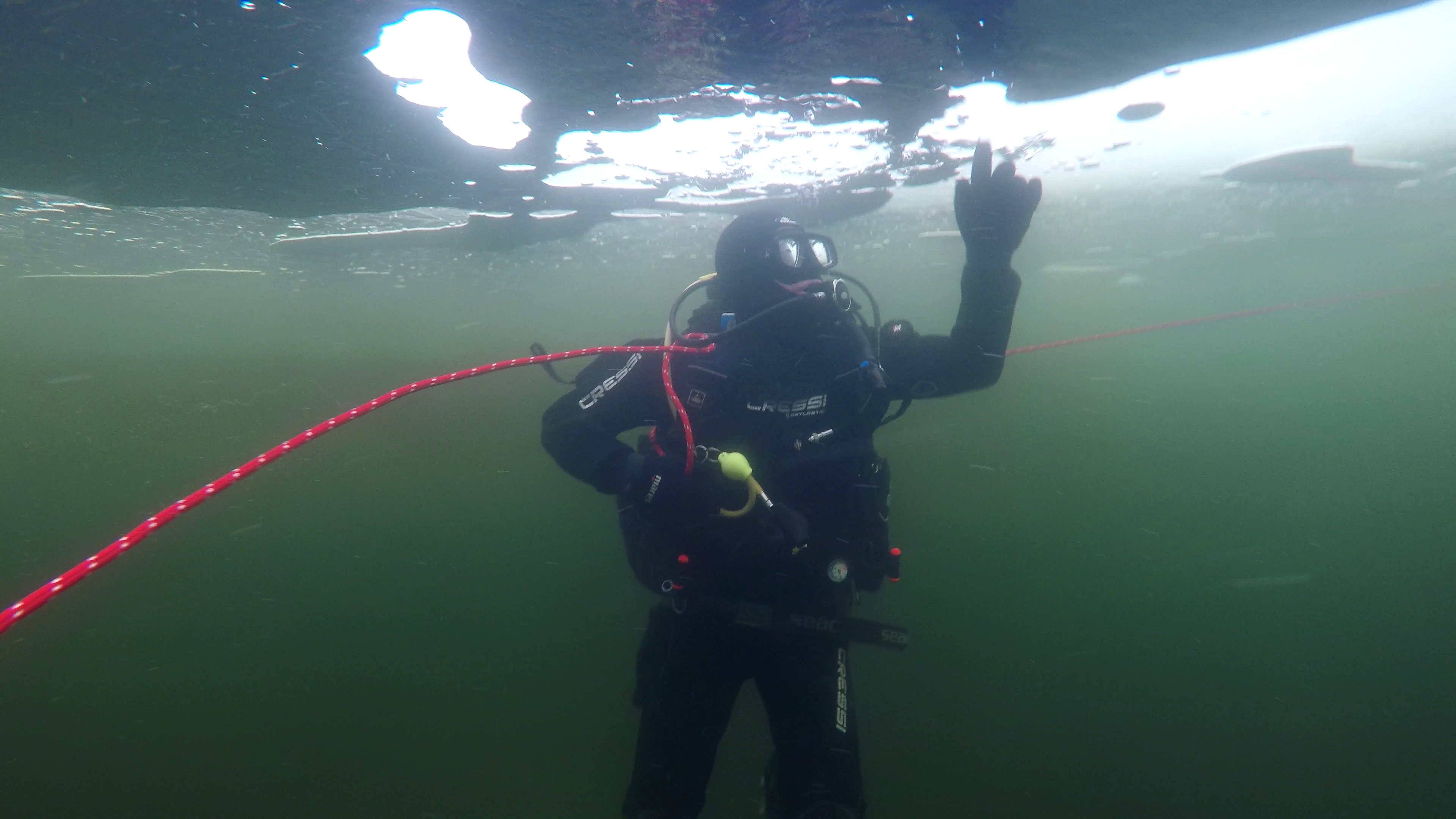 PADI ICE DIVING sertifikāts (Ice daivings Latvijā!)