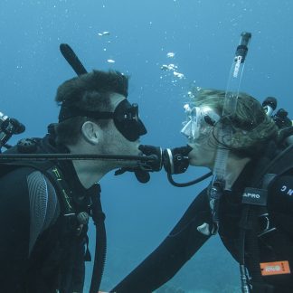 Valentine's Day promotion (13.02- 14.02) PADI Open Water Diver for one for free when you come as a couple!