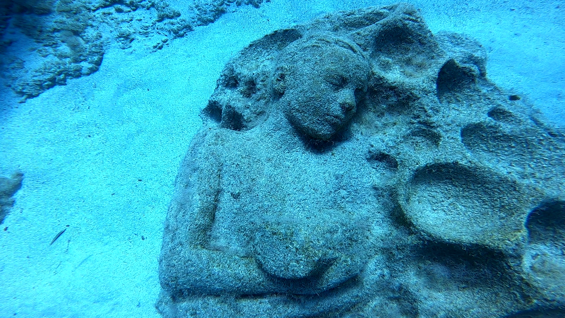 PADI Digital Underwater Photographer (Zemūdens fotogrāfa kursi) - Image 4