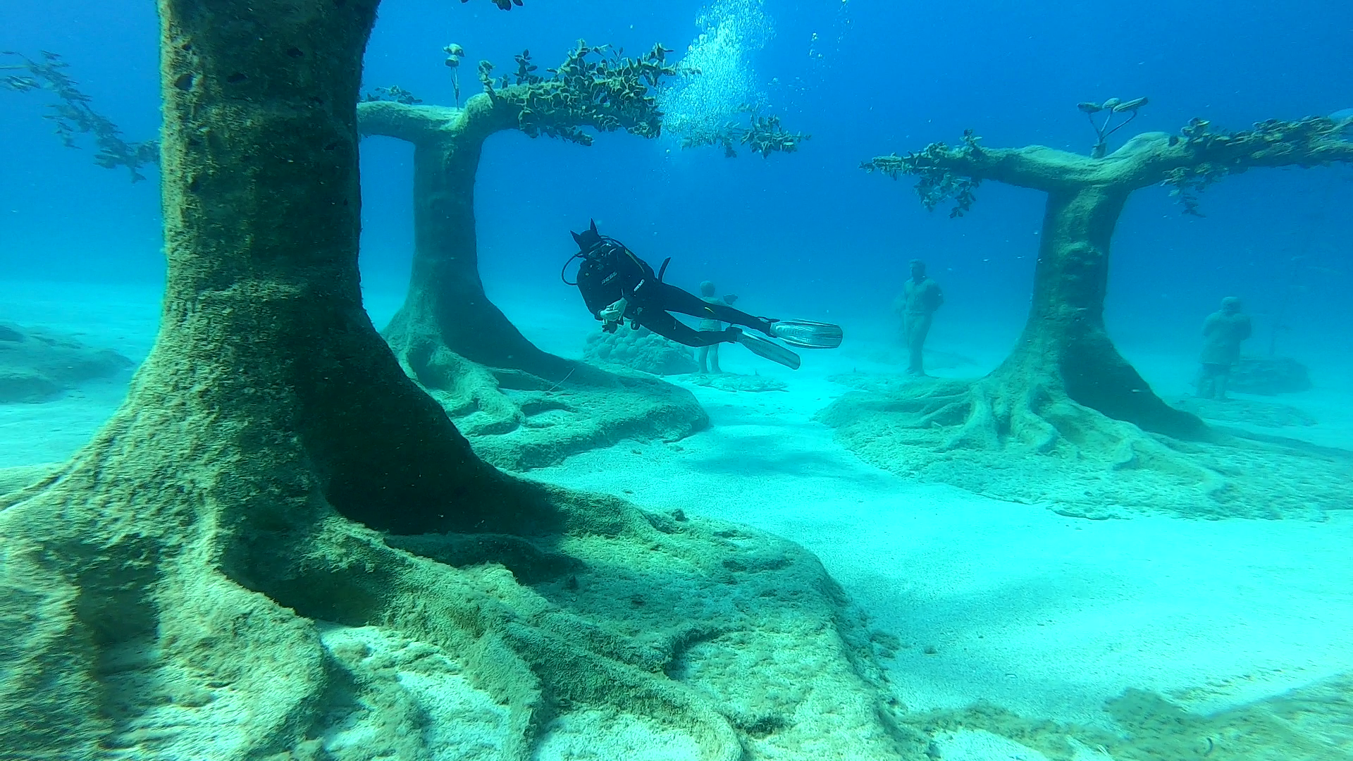 PADI Digital Underwater Photographer