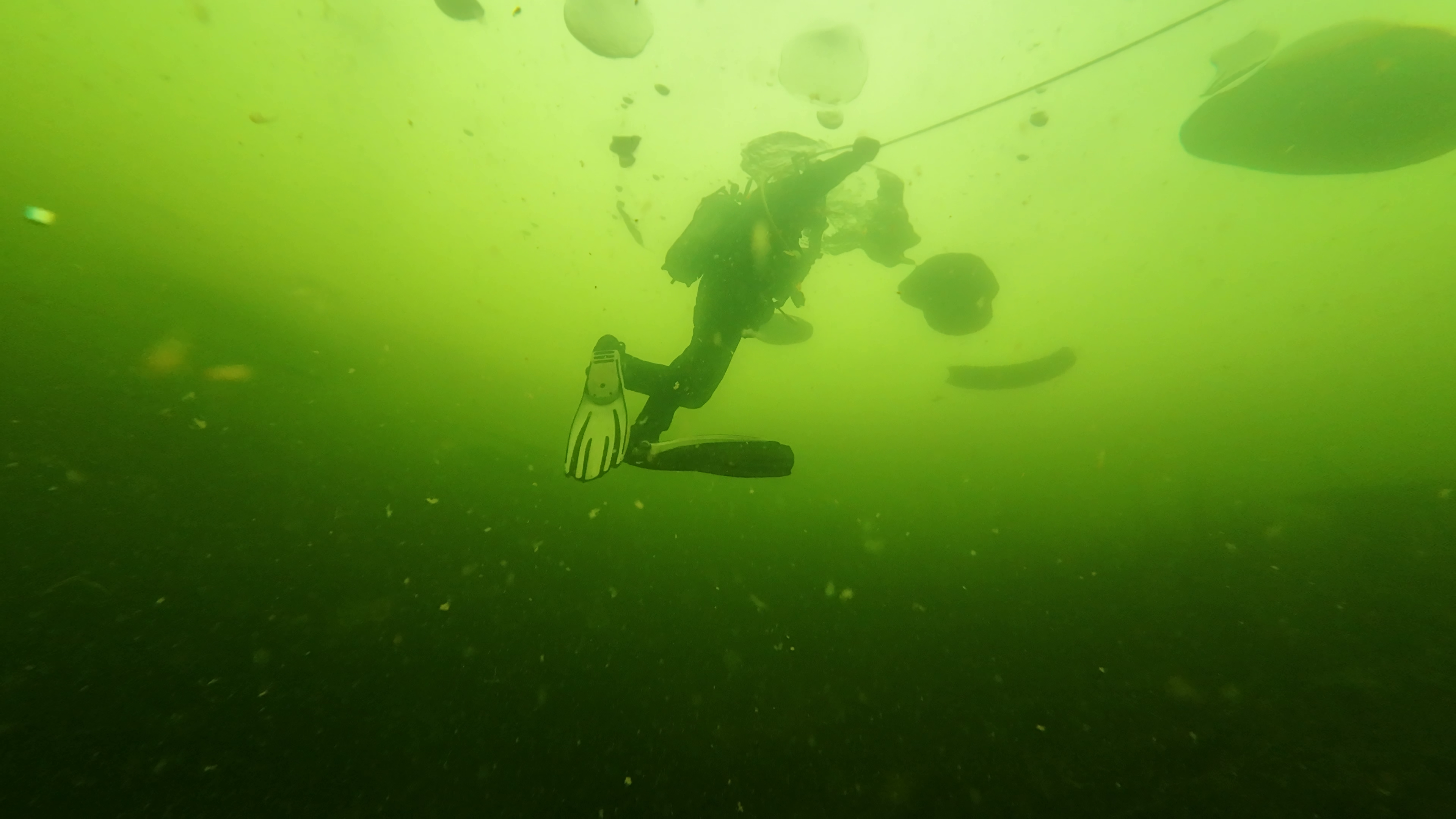 PADI ICE Diver (Niršana zem ledus ar instruktoru) – 7 vaizdas