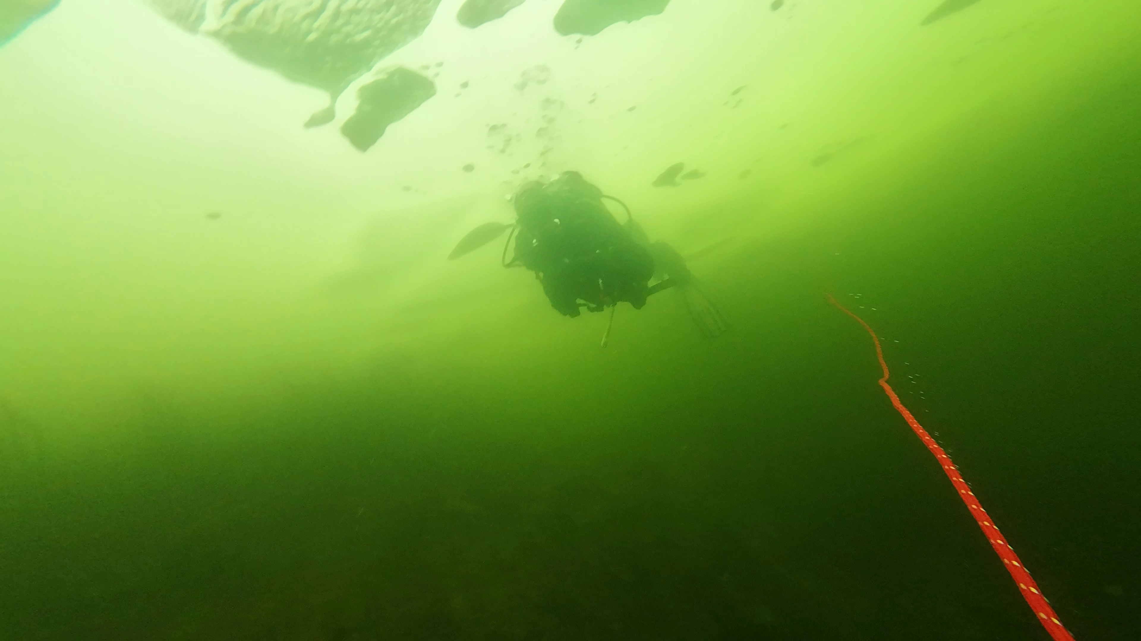 PADI ICE Diver (Niršana zem ledus ar instruktoru) – 6 vaizdas