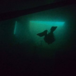 PADI Night Diver (öösukeldumiskursus)