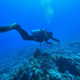 PADI AWARE