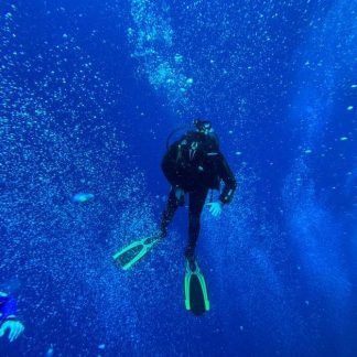 PADI Underwater Photographer (allveefotograafia kursused)