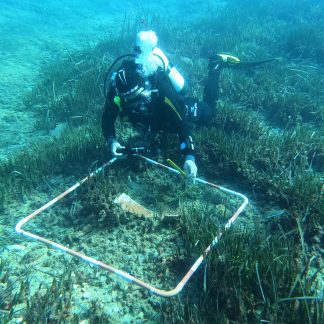 PADI Underwater Archeology Diver