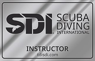 Open Water Scuba Diver course with TDISDI instructor