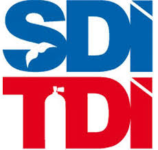 TDISDI
