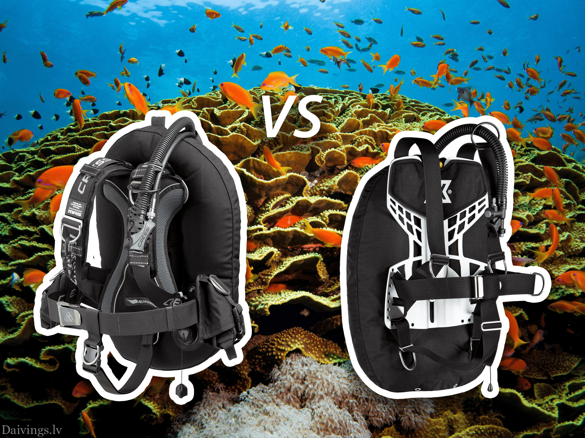 CRESSI AQUAWING MAX vs. XDEEP Zen Deluxe – welches Tarierjacket soll man wählen?