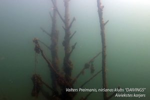 Underwater trees