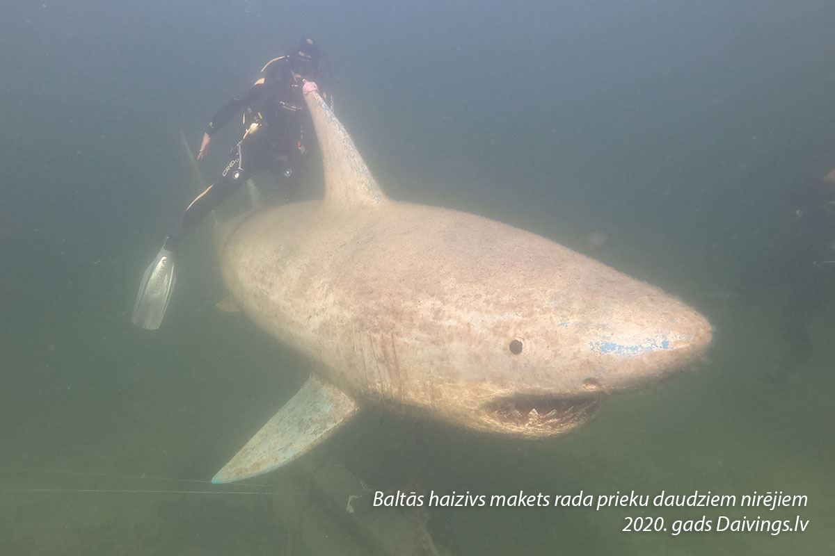 Baltas haizivs makets Dolomīta karjera ūdenskrātuvē