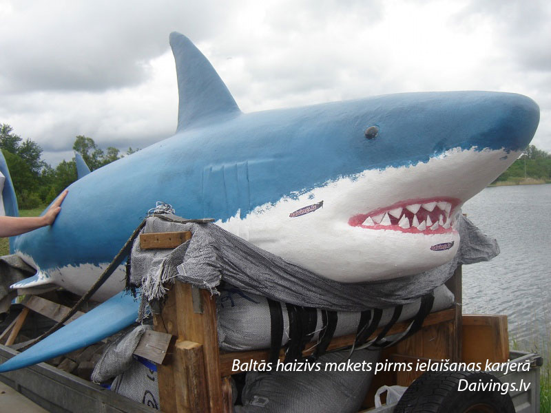 Una maqueta del gran tiburón blanco antes de ser liberado en la cantera.