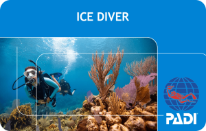 Nardymas siūlo Padi Ice Diver sertifikatą