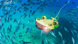Dron submarino FIFISH V6S ROV en el mundo trabajando con peces de mar
