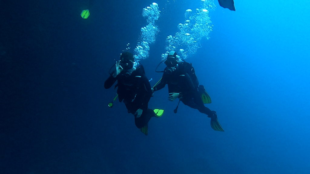 Курс Padi Boat Diver