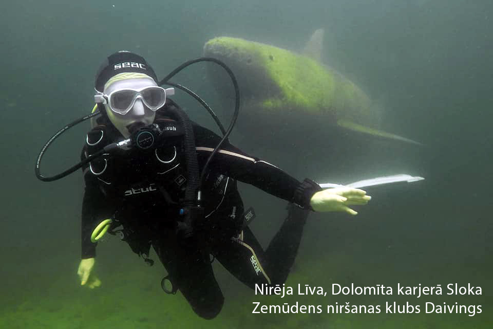 Shark and diver. Photographer Maris Binde. Diving club DIVING.