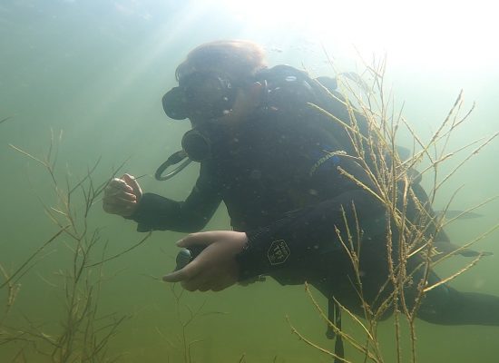 Open Water Diver PADI Open Water Diver Ūdenslīdēju apmācība.jpg