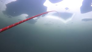 Zemledus niršana Latvijā, virve nodrošina nirēju zem ledus