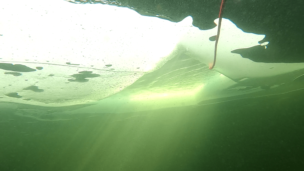 PADI ICE zemledus pasaule