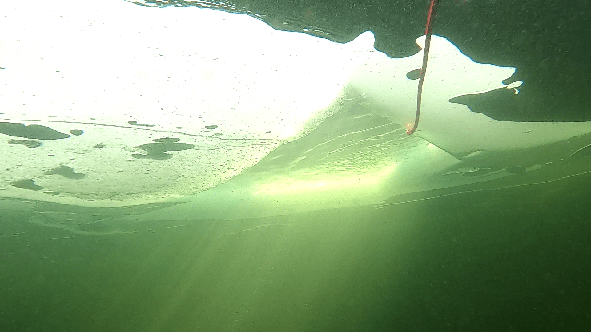 Мир PADI ICE подо льдом