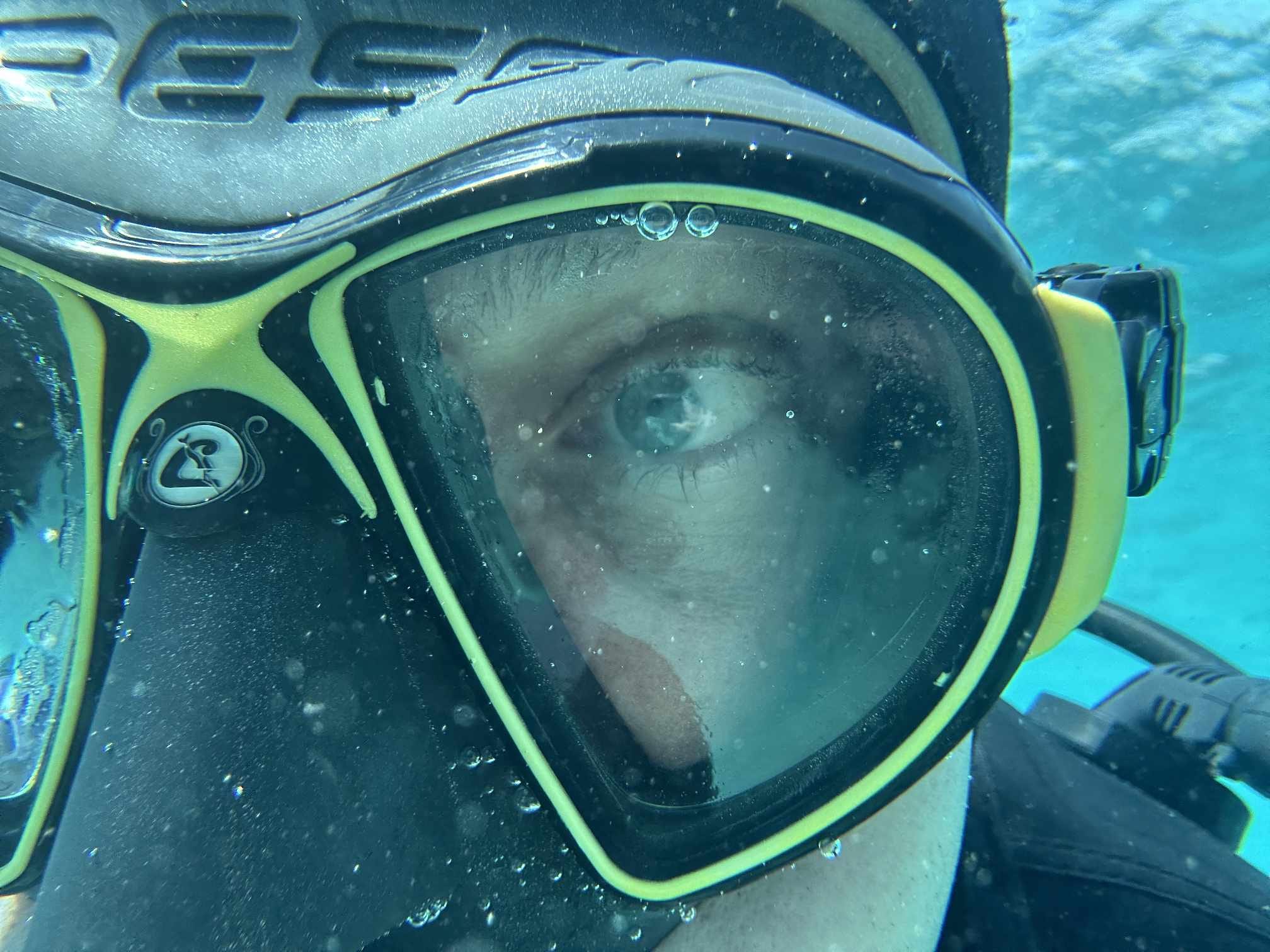 A diver recommends the Cressi Zeus diving mask